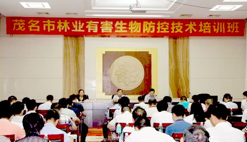 ���Ӵ󞳅^(q��)�֘I(y��)�к�������Ό�(zhu��n)�(xi��ng)�W(xu��)��(x��)����Ӗ(x��n)